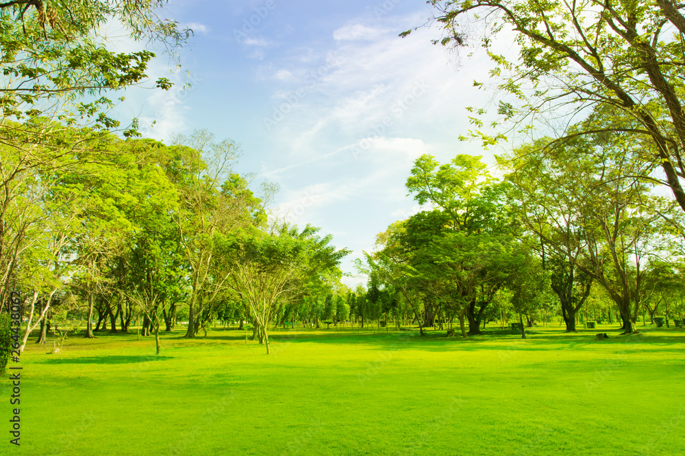 blured photo Green trees and gardens Beautiful light in the morning blured photo Green trees and gardens Beautiful light in the morning