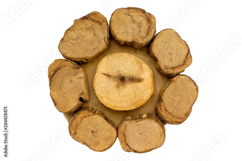 Wooden stump  round cut down tree texture birch  white background isolated