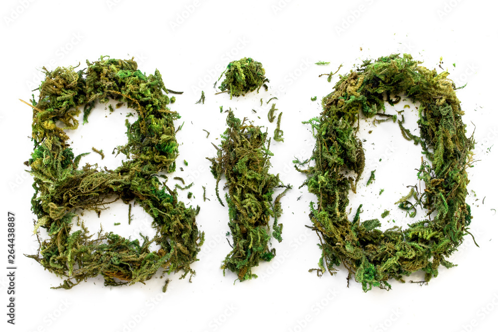 text word letters bio font, green moss, earth day, white background text word letters bio font, green moss, earth day, white background