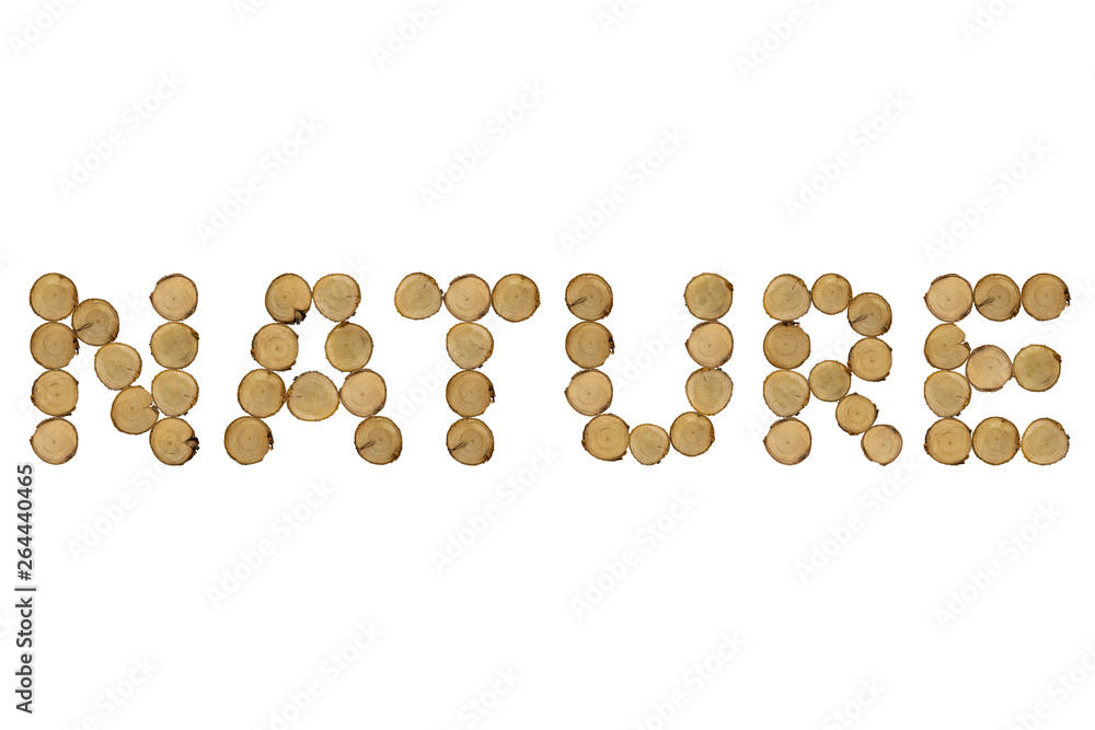 Wooden stumps, text word nature, white background isolated Wooden stumps, text word nature, white background isolated