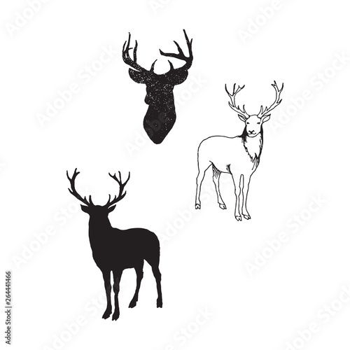 Collection of silhouettes of wild animals - the deer family