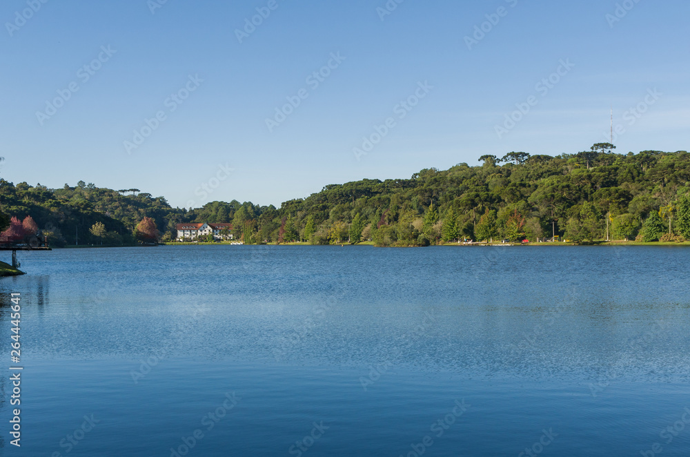 Great concept of autumn, beautiful trees of the genus Platanus with reddish leaves signaling the fall, San Bernardo lake in San Francisco de Paula, Brazil. Great concept of autumn, beautiful trees of the genus Platanus with reddish leaves signaling the fall, San Bernardo lake in San Francisco de Paula, Brazil.