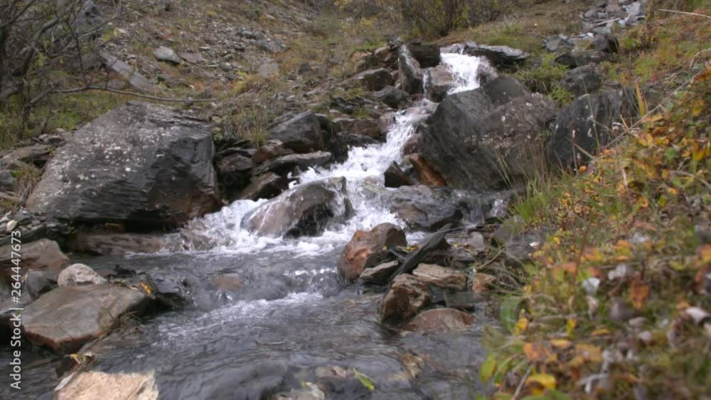 a stream in Alaska a stream in Alaska