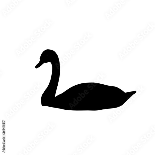 Fototapeta Naklejka Na Ścianę i Meble -  swan on black background