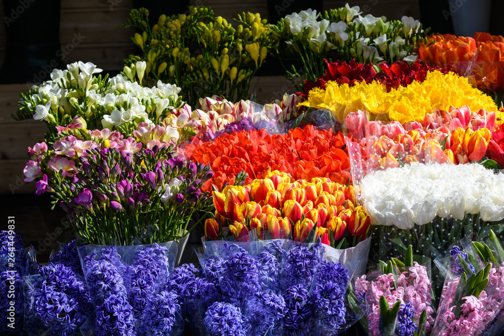 Colourful buy Spring Flower