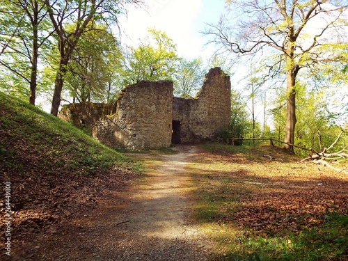 Burgruine Leienfels photo