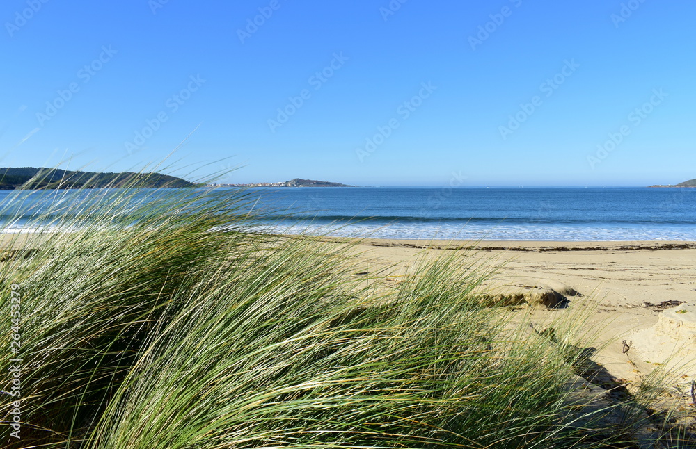 Beach with vegetation in sand dunes. Blue sky, sunny day, Galicia, Spain. Beach with vegetation in sand dunes. Blue sky, sunny day, Galicia, Spain.
