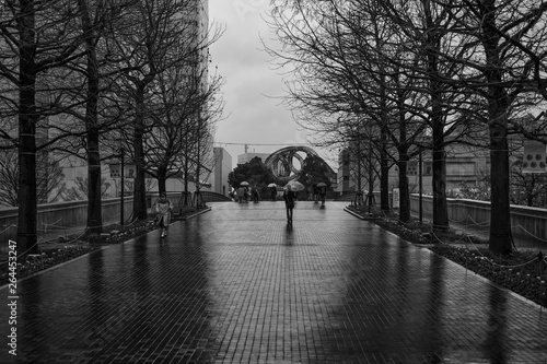 Wallpaper Mural 雨の情景 Torontodigital.ca