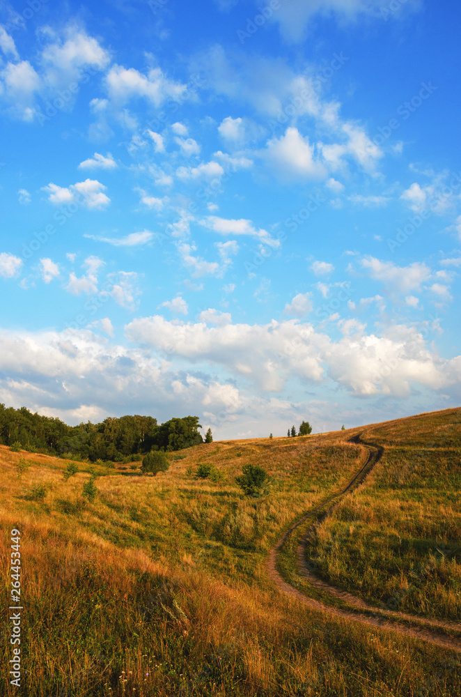 Summer landscape with ground country road passing through the fields and meadows Summer landscape with ground country road passing through the fields and meadows