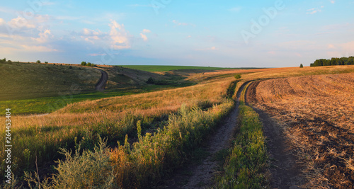 Summer landscape with country roads