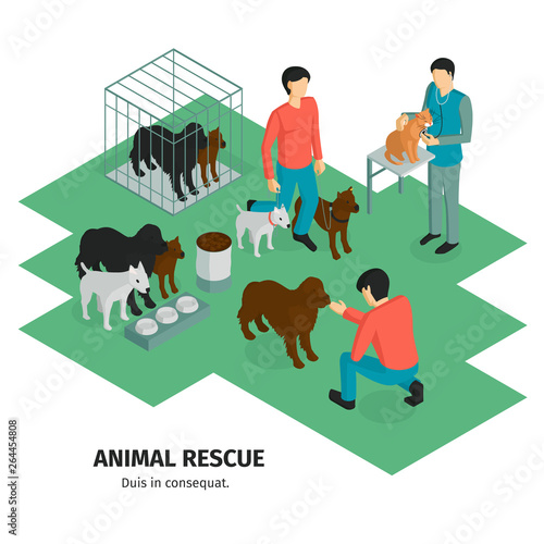 Animal Rescue Isometric Background