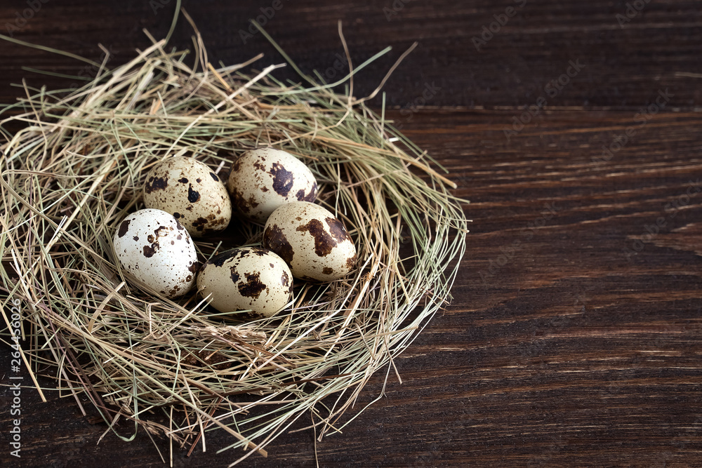 quail eggs in a nest on a brown wooden background quail eggs in a nest on a brown wooden background