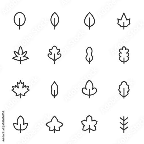leaf, icon set. tree leaves different shapes, linear icons. Line with editable stroke