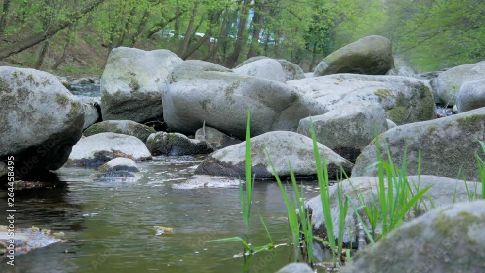 A river flowing threw rocks. The location is in a mountain forest. Green grass is blowing in the wind and some ducks flying by. 4K and natural water sounds. A river flowing threw rocks. The location is in a mountain forest. Green grass is blowing in the wind and some ducks flying by. 4K and natural water sounds.
