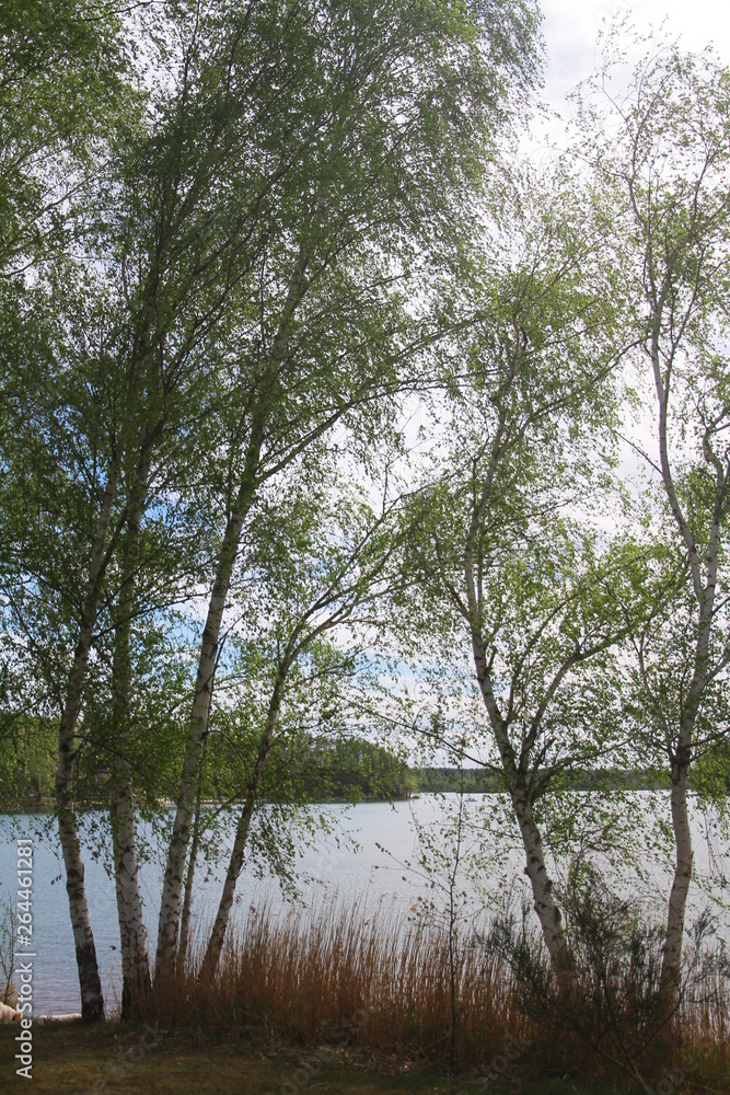 Fototapeta premium steinberg am see opf,