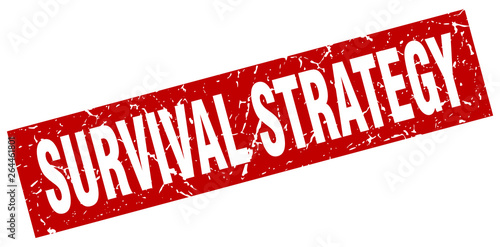 square grunge red survival strategy stamp
