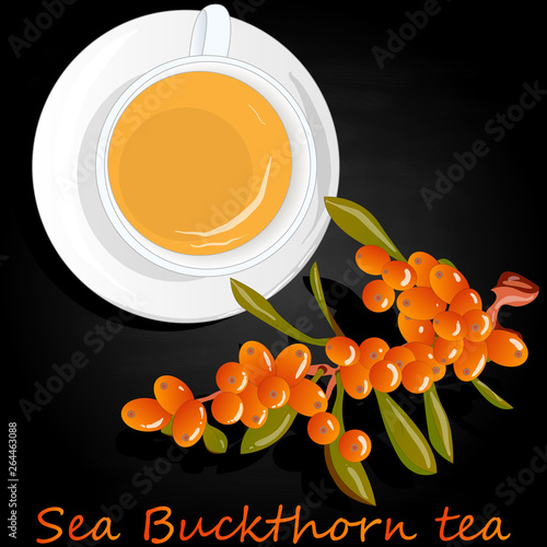 Cup of sea buckthorn tea. Branch of sea buckthorn berries with leaves. Vector illustration set on dark background.