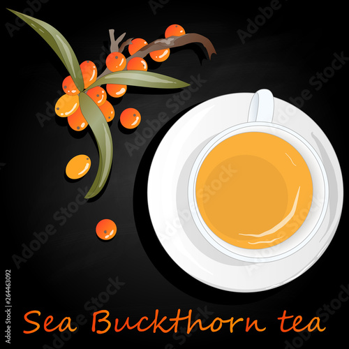 Cup of sea buckthorn tea. Branch of sea buckthorn berries with leaves. Vector illustration set on dark background.