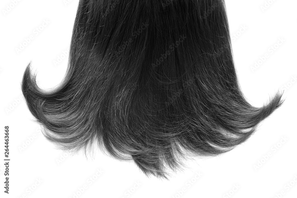 Long black hair isolated on white background Long black hair isolated on white background