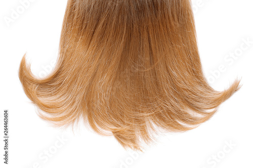 Wallpaper Mural Long blond hair isolated on white background Torontodigital.ca