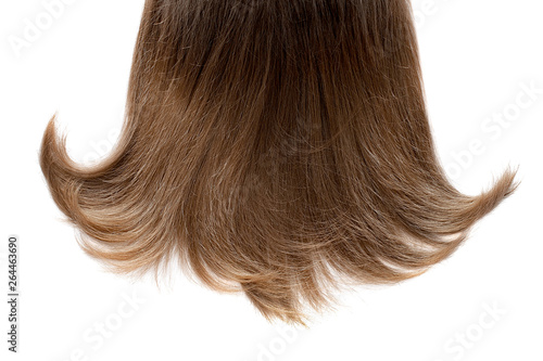 Wallpaper Mural Long brown hair isolated on white background Torontodigital.ca