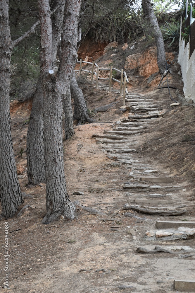 escalera montaña