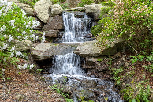 Fototapeta Naklejka Na Ścianę i Meble -  Arkansas Ozark mountain waterfall in spring