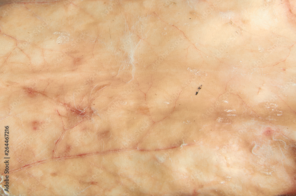 Obraz premium The texture of the skin of the rabbit