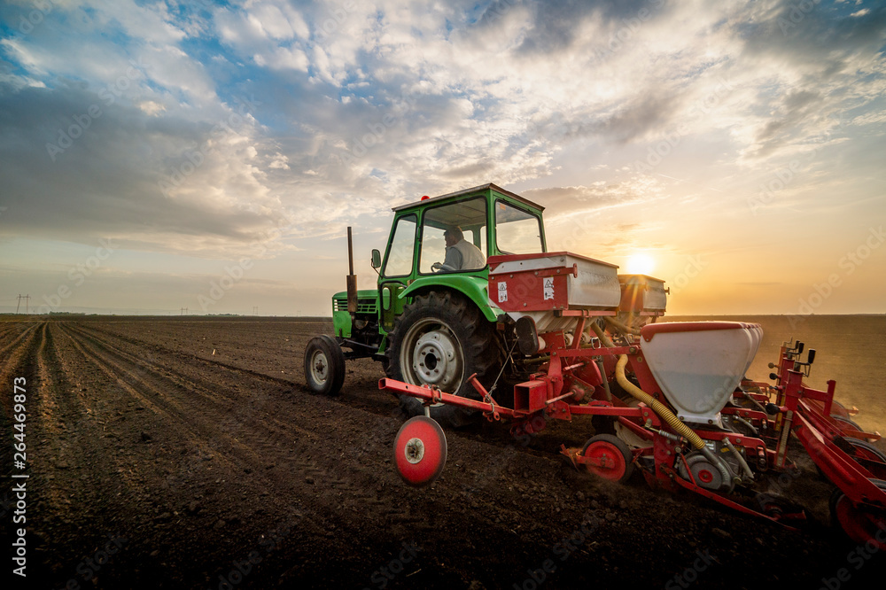 Fototapeta premium Sowing crops at agricultural fields in spring