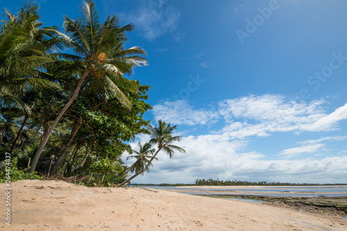 Tropical beach with coconut trees