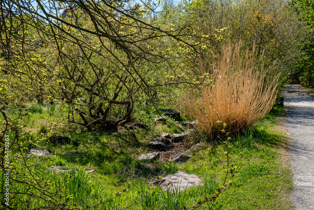 Fototapeta premium Künstlich angelegter Bachlauf im Comenius-Garten in Berlin-Neukölln