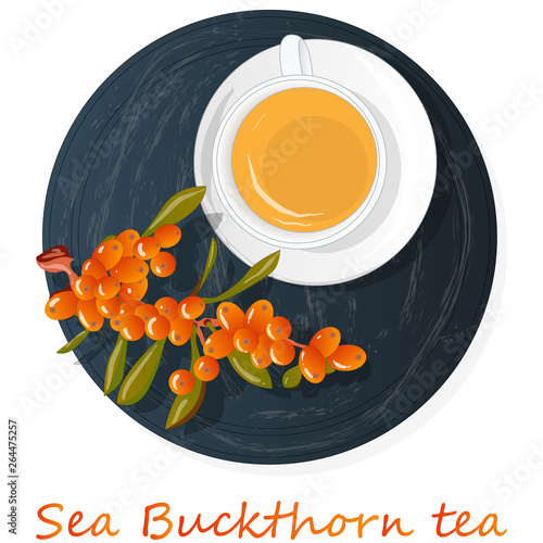 Cup of sea buckthorn tea on the dish. Branch of sea buckthorn berries with leaves. Vector illustration set on white background.