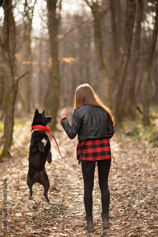 Photo of the beautiful girl with her black dog in the wood. Back view Photo of the beautiful girl with her black dog in the wood. Back view