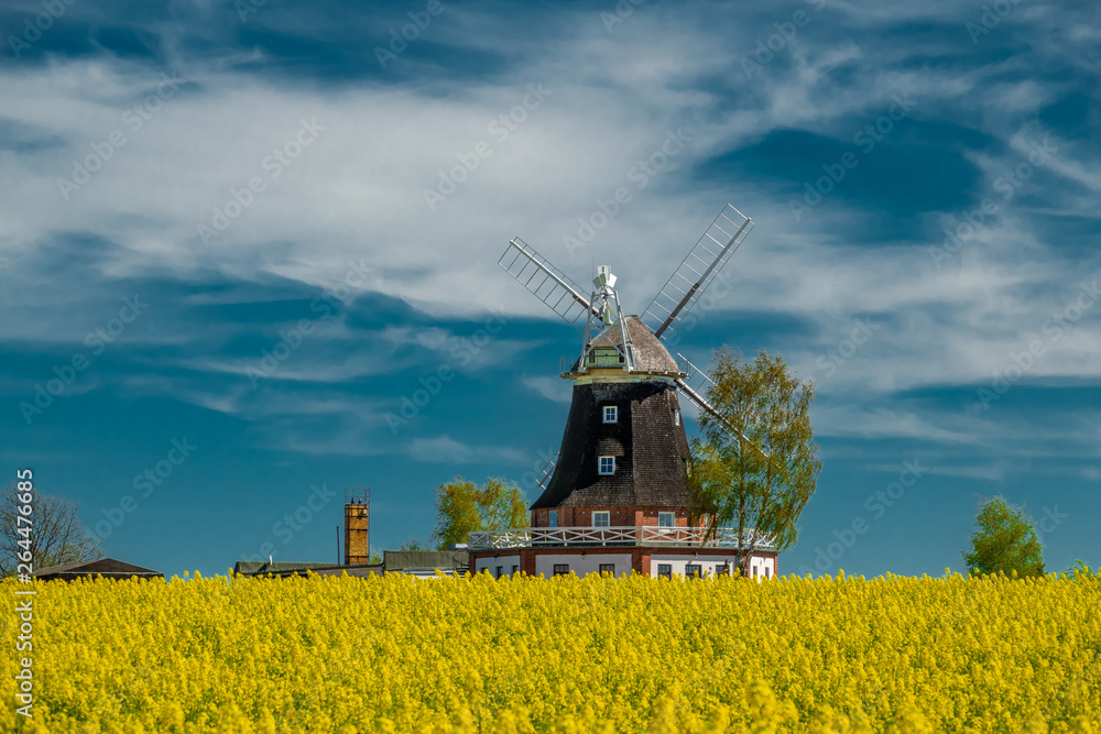 an old windmill stands on a canola field