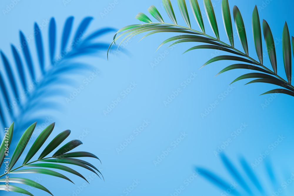 Tropical plant shadow on light blue background with empty space. 3D rendering.