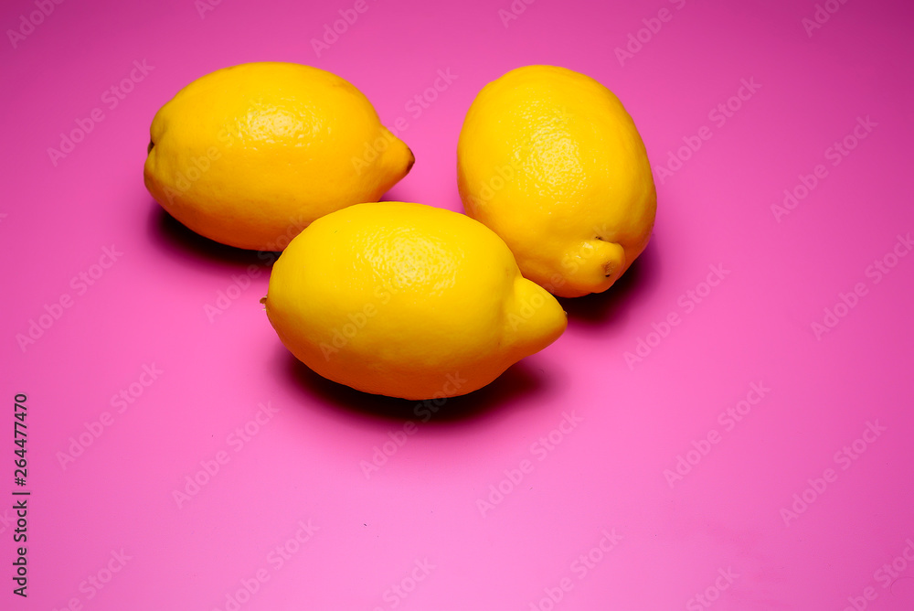 lemon on pink background lemon on pink background