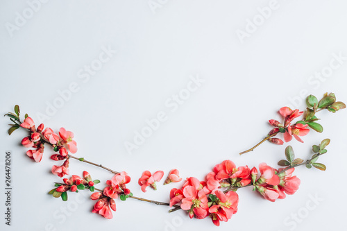 Flowers composition of Henomeles japanese