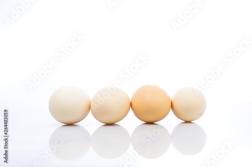 eggs isolated on white