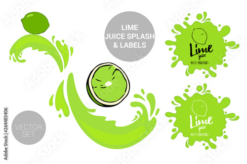 Fruit vector package set of cartoon green lime on juice splashes. Organic fruit labels tags and lime juice text. Colorful orange piece stickers. Citrus Juicy fruit badges with splash. 