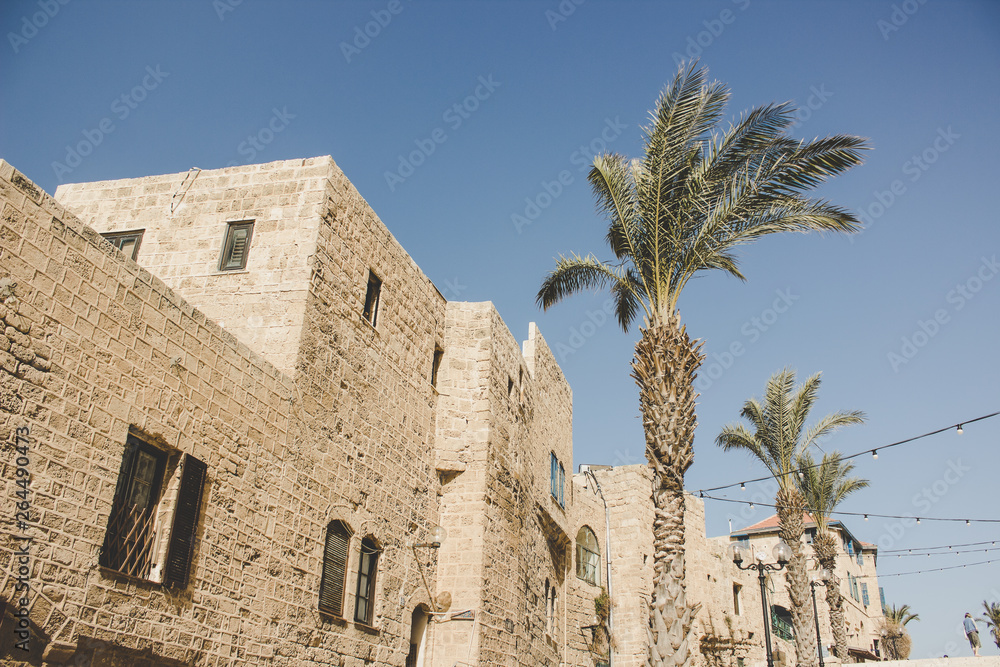 vintage toning style travel heritage places photography of ancient city Jaffa  near Tel Aviv - capital of Israel building landmarks concept stone building with palms in bright summer season weather
