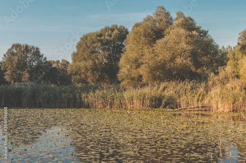 A river armlet photo