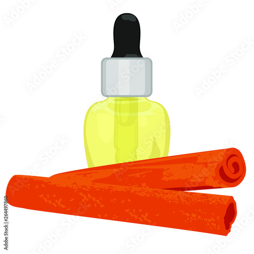 Cinnamon sticks essential oil in a dropper vector illustration on a white background isolated