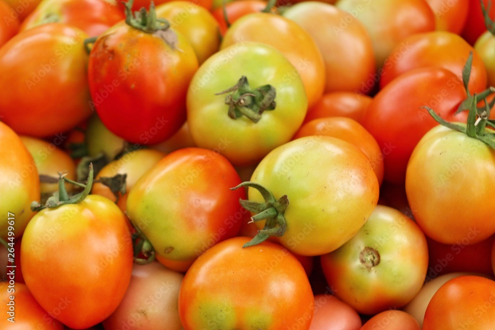 tomatoes at the market tomatoes at the market