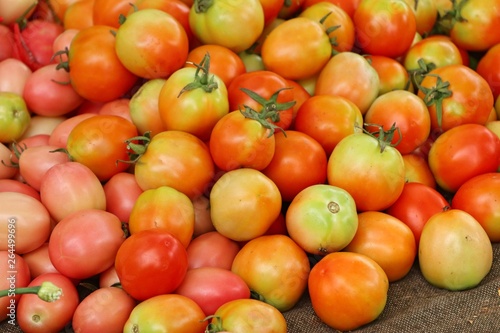 tomatoes at the market