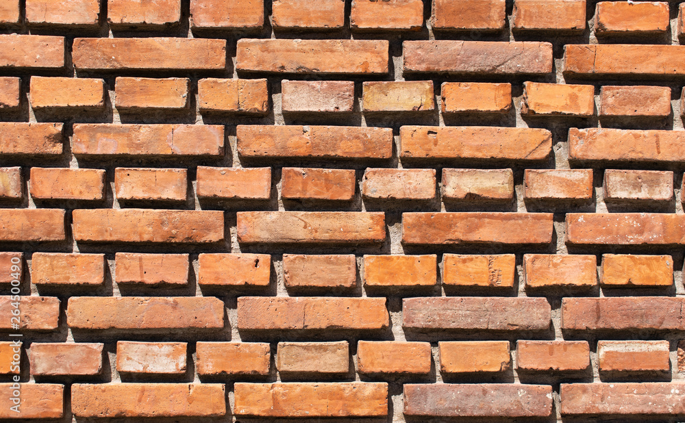 Fototapeta premium Textura 2: Pared de Ladrillos 2