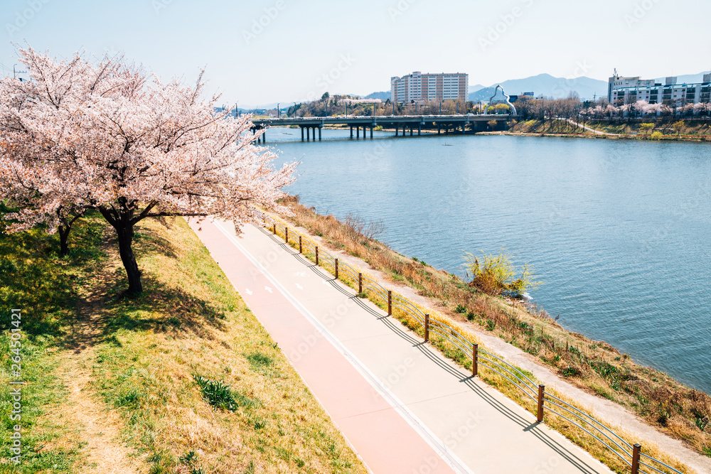Dongchon riverside park at spring in Daegu, Korea Dongchon riverside park at spring in Daegu, Korea
