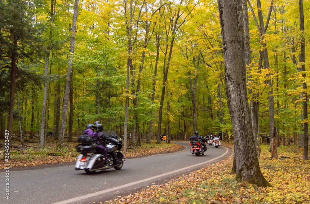 Group of motorcycle bikers rides through curvy road in Tunnel of Trees during autumn. Group of motorcycle bikers rides through curvy road in Tunnel of Trees during autumn.