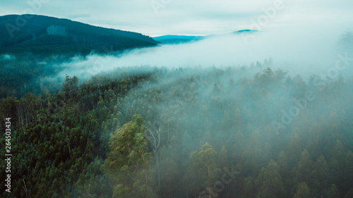 Aerial View of Beautiful Australian Forest on a Foggy Day