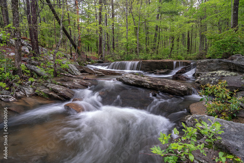 Фотография Cheaha Falls in Cheaha State Park