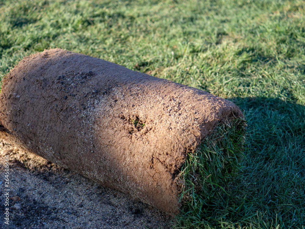 Rolls of green lawn for landscaping park areas..Natural grass stacks of sod rolls for new lawn green installation garden turf soil laying landscaping installing unrolling dirt gardening Rolls of green lawn for landscaping park areas..Natural grass stacks of sod rolls for new lawn green installation garden turf soil laying landscaping installing unrolling dirt gardening